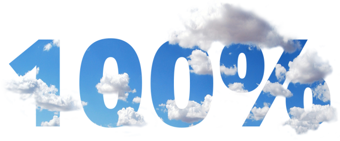 Скидка «Предоплата 100%»